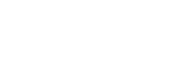 大庄园健康牛羊肉产品